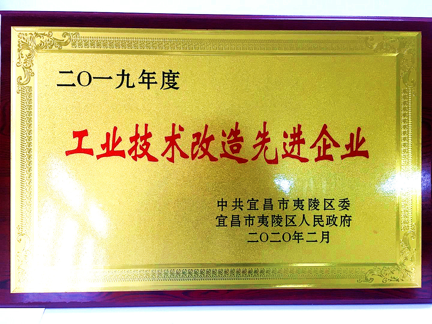 16155613622 2019年度304am永利工业技术改造先进企业